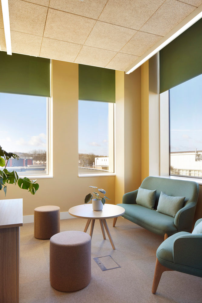 Troldtekt acoustic panels