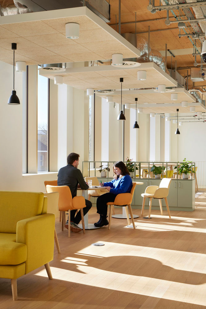 Troldtekt’s wood wool acoustic panels